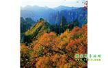長沙往返張家界、天子山、寶峰湖/黃龍洞三日游