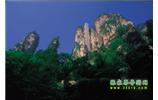 網(wǎng)絡(luò)熱門純玩游：張家界、天子山、袁家界、楊家界 自助三日游