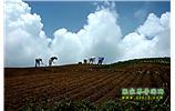 張家界、天子山、寶峰湖/黃龍洞、鳳凰古城、德夯大峽谷 苗族風(fēng)情五日游