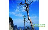 湘西之旅：張家界、天子山、寶峰湖/黃龍洞、鳳凰古城、猛洞河漂流、天門山六日游