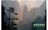 張家界國(guó)家森林公園、寶峰湖/黃龍洞、鳳凰古城、三峽八日游